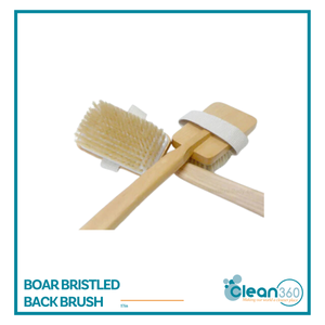 Boar Bristled Back Brush